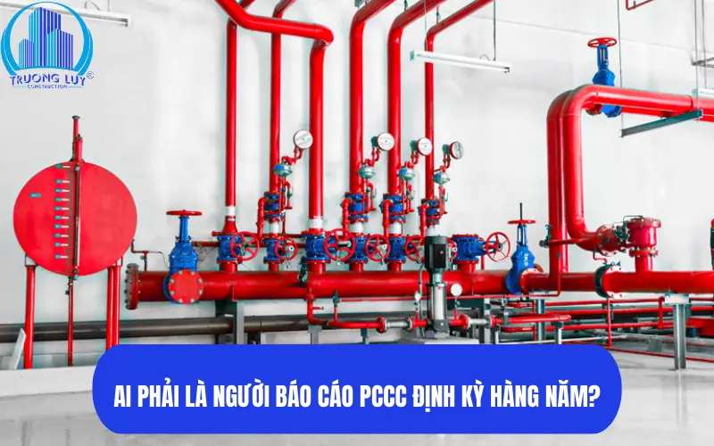 Ai phải là người báo cáo pcc định kỳ hàng năm?