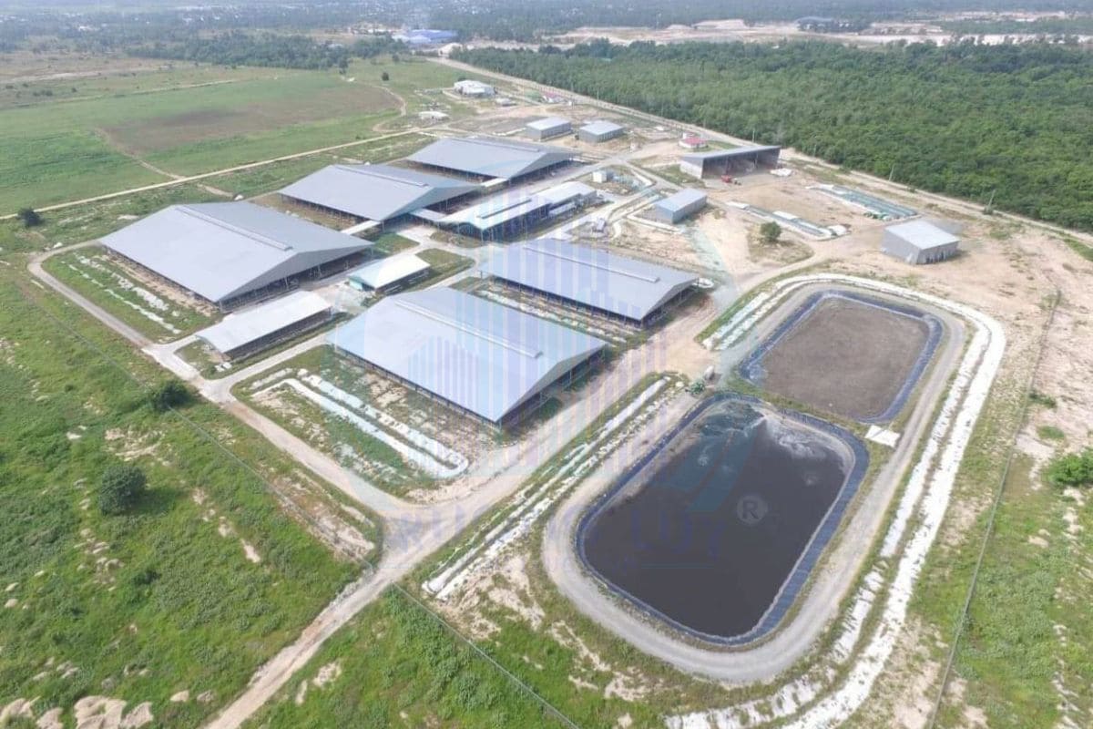 Điều kiện cấp giấy phép xây dựng trang trại chăn nuôi