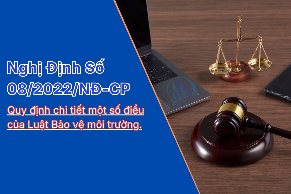 Nghị định 08/2022/NĐ-CP